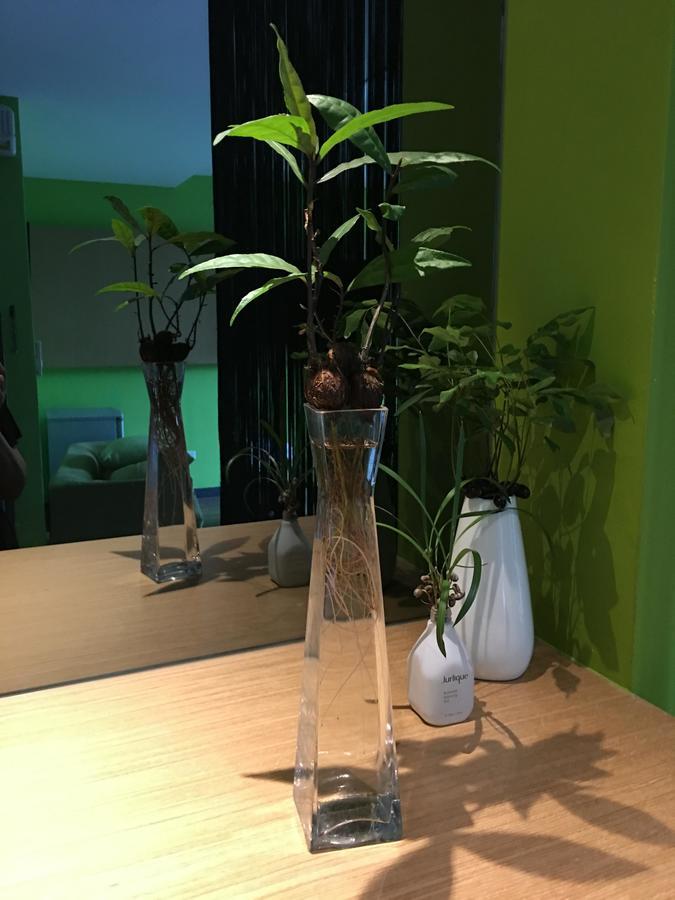 Great Nature Villa 지지 외부 사진
